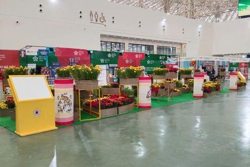 Dạo bước giữa 'Tinh hoa Thu Hà Nội': Chạm vào sắc – hương – vị của ký ức nghìn năm