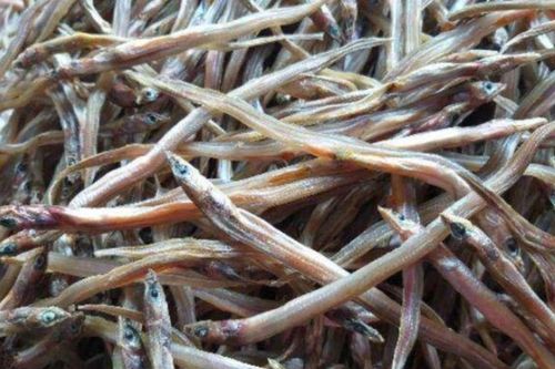 Loại cá nhỏ như chiếc đũa là đặc sản miền Tây, phơi khô ăn mê tít, được dân sành ăn săn lùng