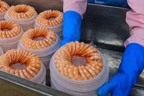 Gánh hàng trăm tỷ đồng thuế đối ứng, doanh nghiệp thủy sản 'thấm đòn' thuế quan