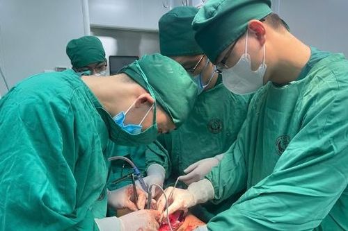 Bệnh viện Đa khoa Bắc Ninh số 2 cấp cứu thành công ca chấn thương động mạch - tĩnh mạch chậu