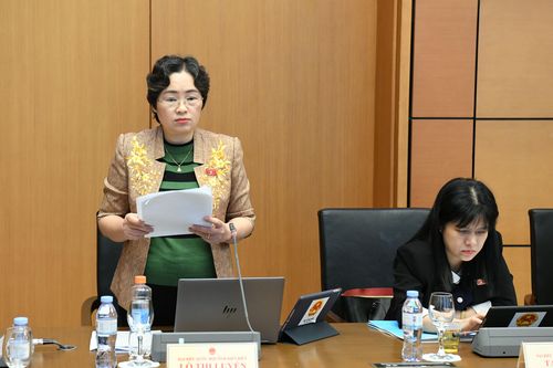 ĐBQH tỉnh tham gia ý kiến vào dự thảo Luật sửa đổi, bổ sung một số điều của Luật Điều ước quốc tế