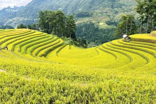 Tháng Mười ơi!