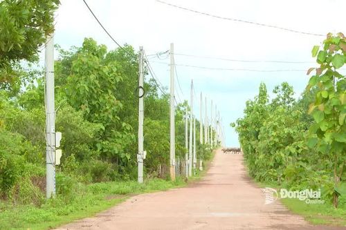 Nâng cao chất lượng phục vụ điện vùng biên