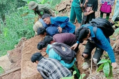 Vực dậy sau tàn khốc