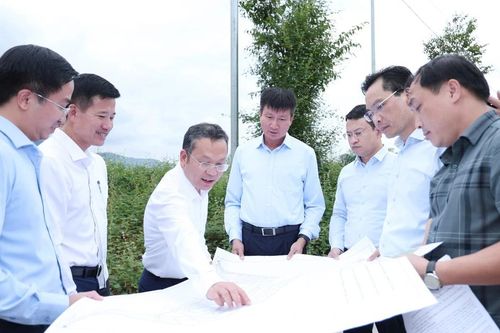 Chủ tịch UBND tỉnh Trần Huy Tuấn kiểm tra một số dự án tại phường Cam Đường và Lào Cai