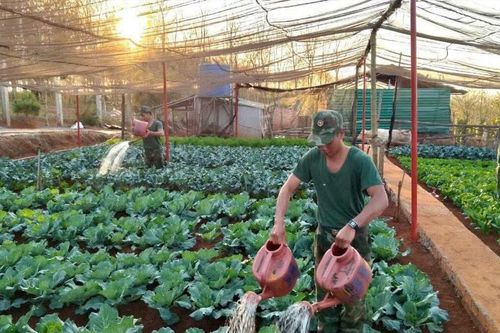 Hậu cần đi trước một bước