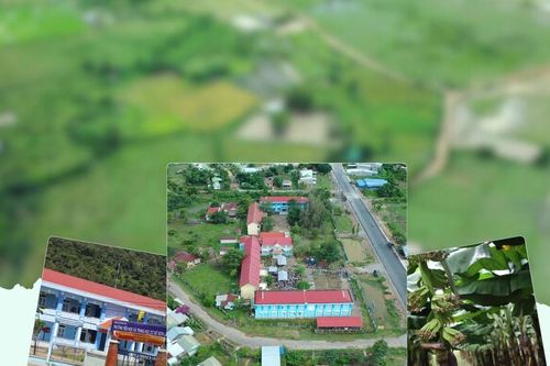 Phan Sơn – Từ miền nắng gió đến mùa xanh hy vọng