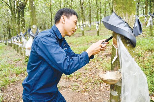 Người công nhân 'hiểu thông, làm tốt'