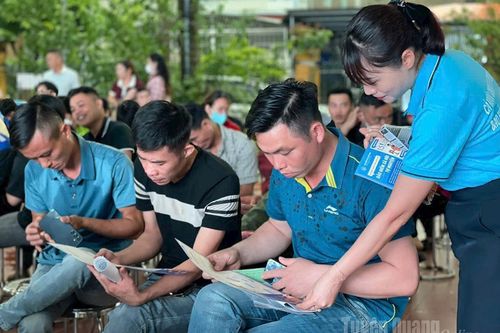 Tăng cường các giải pháp đôn đốc thu, thu nợ những tháng cuối năm
