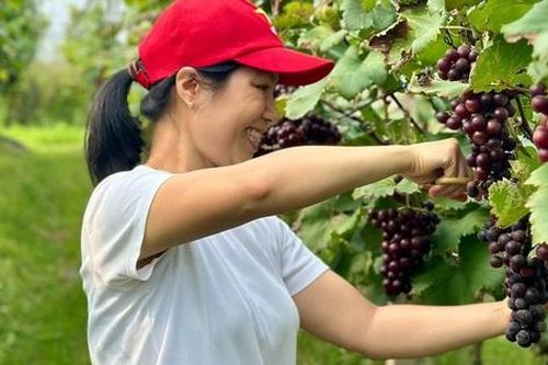 Hà Nội: Xã ven đô phát triển nông nghiệp sinh thái gắn với du lịch trải nghiệm