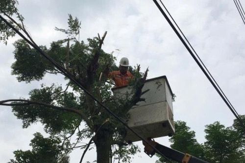 Công ty Điện lực Hưng Yên nâng cao hiệu quả an toàn hành lang lưới điện