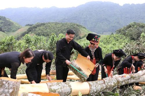 Khát vọng vươn tầm của 'thủ phủ' quế Lào Cai Bài 1: Kỳ vọng bứt phá kinh tế từ cây quế