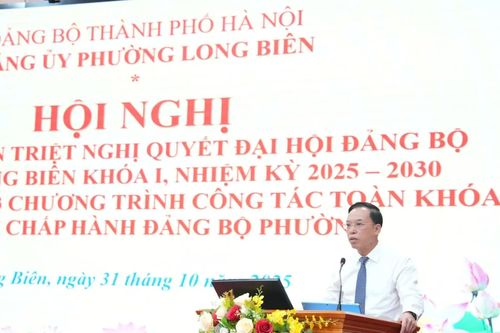 Triển khai nghị quyết Đại hội đại biểu Đảng bộ phường Long Biên