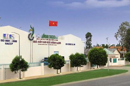 Lãi 9 tháng vượt 118% kế hoạch, 'vua' rau củ đông lạnh Antesco (ANT) nắm 521 tỷ tiền mặt, xúc tiến lên HOSE