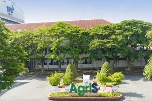 AgriS (SBT): Lãi 203 tỷ đồng quý 1 niên độ 2025-2026, chi phí tài chính giảm 22%