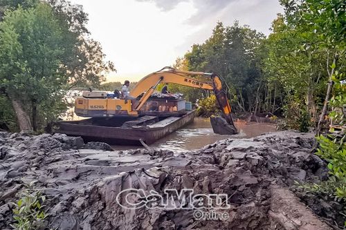 Chủ động ứng phó với triều cường