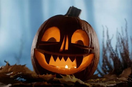 Lịch sử quả bí ngô Halloween và ý nghĩa sâu xa của nó