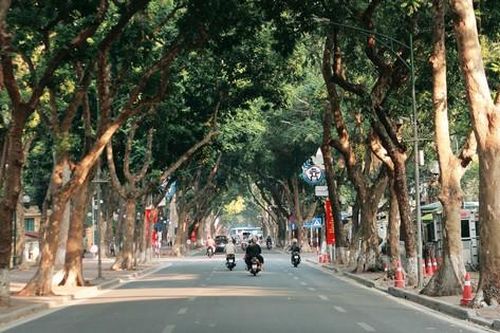 Ngắm phố Phan Đình Phùng trong những ngày đầu đông