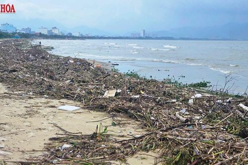 Bờ biển vịnh Đà Nẵng ngập rác sau mưa lũ