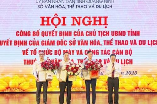 Sắp xếp, sáp nhập, tổ chức lại các đơn vị sự nghiệp Văn hóa, Thể thao, Du lịch