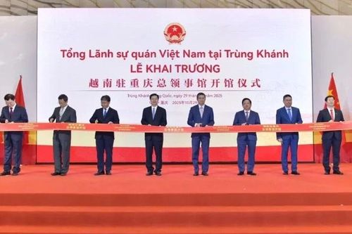 Báo Trung Quốc: Dấu mốc mở ra giai đoạn mới trong hợp tác giữa Việt Nam và Trùng Khánh