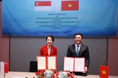 Singapore có thỏa thuận đầu tiên về thương mại gạo, vì sao chọn Việt Nam?