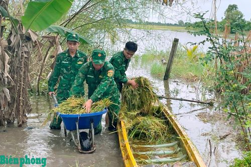 Ngâm mình trong nước lũ, giúp nhân dân vượt qua thiên tai