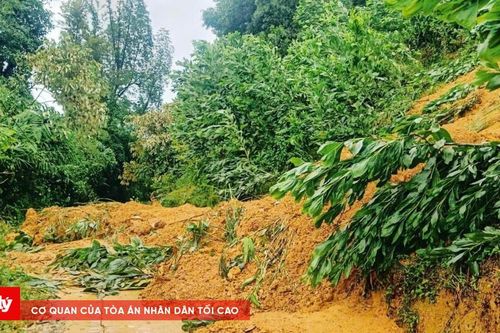 Đà Nẵng: Chính quyền cơ sở chủ động ứng phó, di dời dân khỏi vùng sạt lở