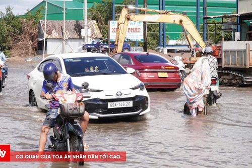 Cà Mau đồng bộ nhiều giải pháp ứng phó triều cường dâng cao