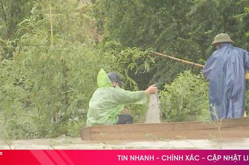 Người dân liều mình đánh bắt cá trong mưa lũ