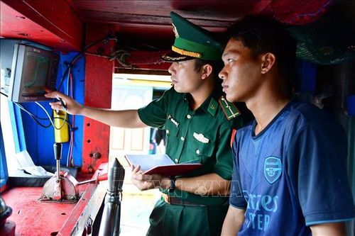 Xử lý 5 tàu cá có dấu hiệu vi phạm các quy định về khai thác hải sản