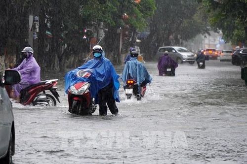 Quảng Ngãi phối hợp đảm bảo an toàn giao thông trên Quốc lộ 24