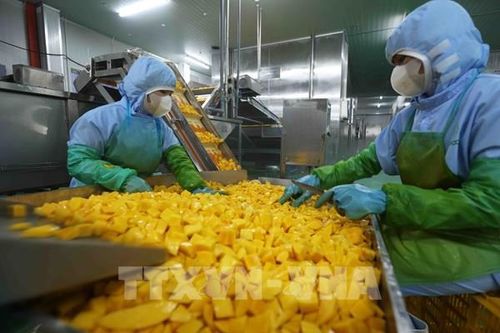 Rau quả Việt tăng tốc, tiến tới mục tiêu 10 tỷ USD