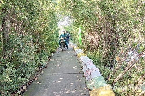 Chủ động ứng phó ngập úng do lũ kết hợp triều cường từ ngày 4 đến 9-11