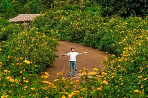 Tuần lễ hoa dã quỳ-núi lửa Chư Đang Ya 2025 sẽ diễn ra từ ngày 14 đến 16-11