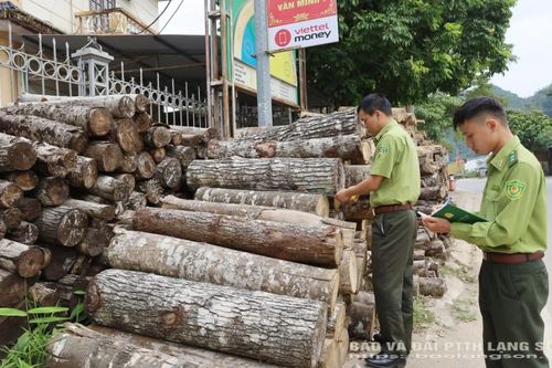 Lạng Sơn: Nan giải bài toán giữ rừng tự nhiên