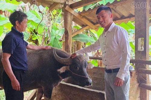 Bí thư chi bộ trẻ trên đỉnh Tà Xùa