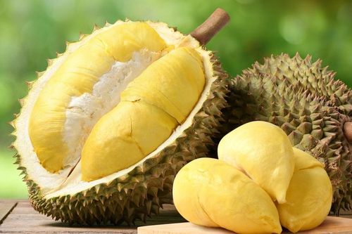 Giá sầu riêng 1/11: Sầu Thái VIP duy trì mức 120.000 đồng/kg