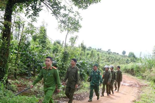 Tăng cường an ninh, bảo vệ an toàn mùa vụ cà phê ở xã biên giới Tuy Đức