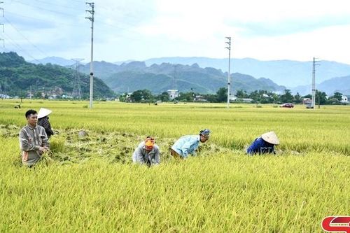 Đồng hành cùng nông dân phát triển sản xuất
