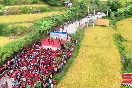Giải chạy 'Mùa vàng giữa mây ngàn bản Ít'