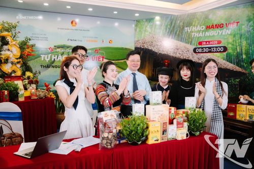 Hướng đi mới từ cây sâm Bố Chính