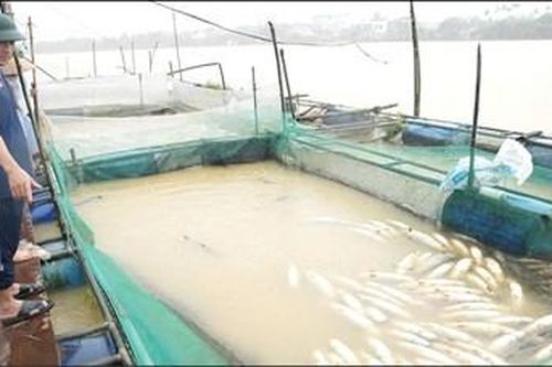 Ghi ở nơi con nước sông Bồ
