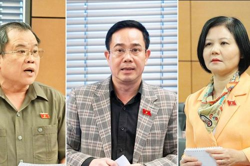 Dự án Luật sửa đổi, bổ sung một số điều của Luật Điều ước quốc tế: Bảo đảm đủ thời gian để thẩm định chuyên sâu