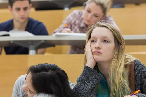 Sinh viên Harvard bật khóc vì bị yêu cầu… học thật