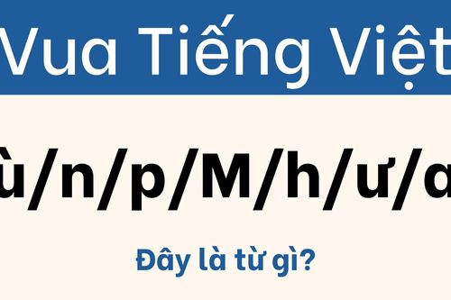 Đến 'vua của chữ' cũng chẳng tìm nổi lời giải