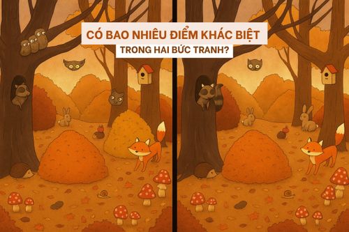 Câu đố dành cho người thuộc top tinh mắt nhất