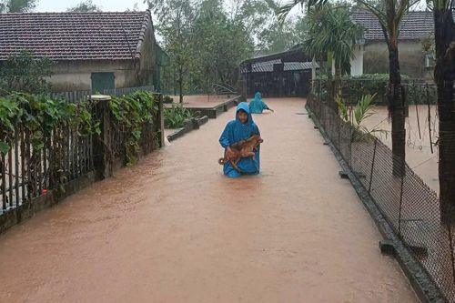 Lũ dâng trong đêm, hàng nghìn hộ dân ở Hà Tĩnh chìm trong biển nước