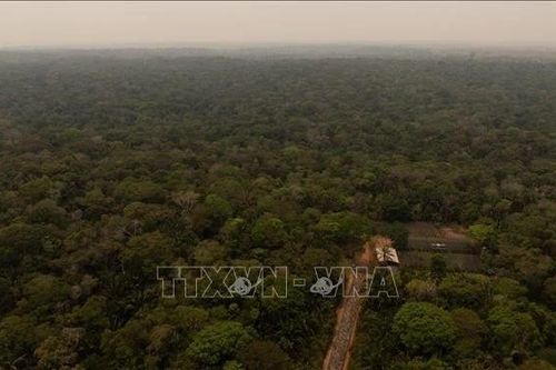 Trách nhiệm của toàn nhân loại