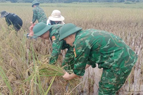 Bộ đội Biên phòng giúp nhân dân khắc phục hậu quả mưa lũ